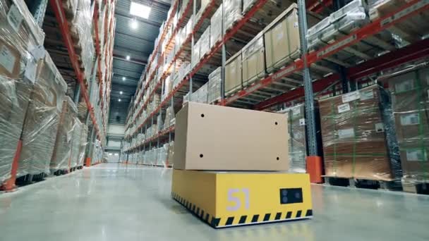 Automatiserad transportör transporterar en låda genom lagret — Stockvideo