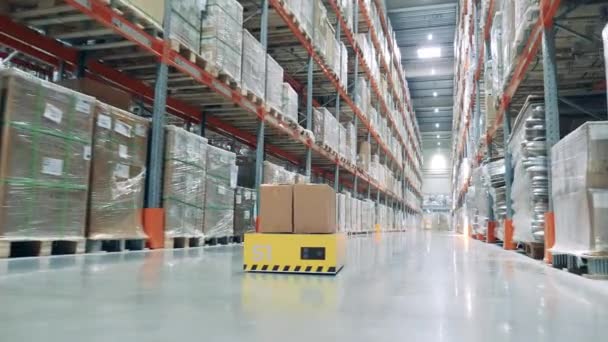 En robot rider över lagerhuset med en låda på ryggen. — Stockvideo