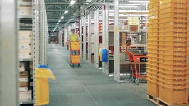 Mannelijke werknemer loopt langs het magazijn met een kar — Stockvideo