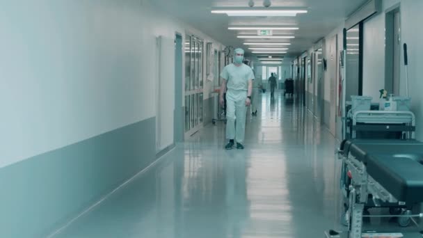医療従事者と病院の廊下それを歩く — ストック動画