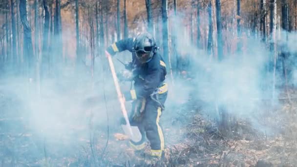 Vigile del fuoco, pompiere, concetto di incendio boschivo. Un pompiere sta spalando boschi bruciati — Video Stock