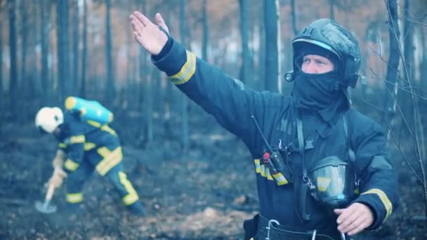 Bombero, bombero, concepto de incendio forestal. Bosque quemado con un bombero hablando por la radio — Vídeo de stock