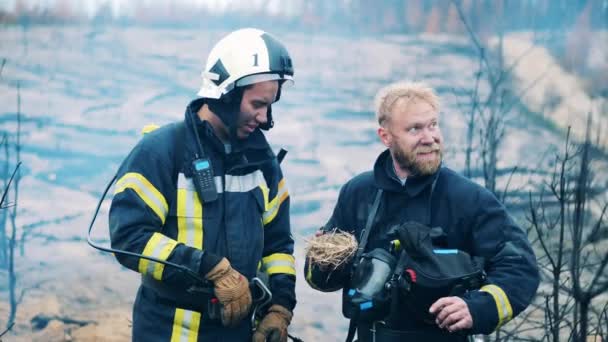 Los bomberos sostienen un nido salvado del fuego — Vídeo de stock