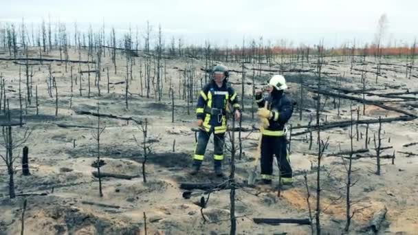 Пожарные обсуждают зону лесного пожара — стоковое видео
