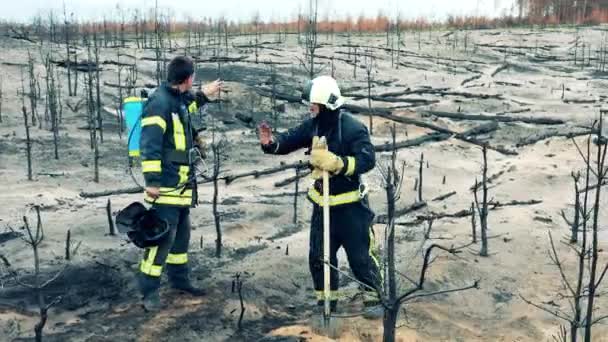 Зона лесного пожара, где разговаривают два пожарных — стоковое видео