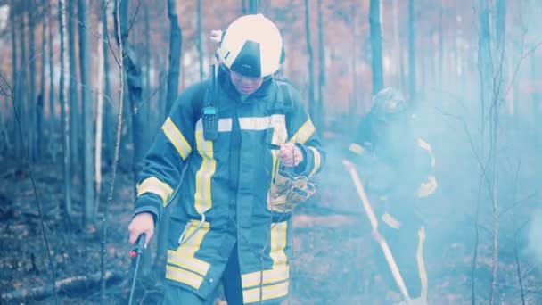 Brandweermannen scheppen en vegen het bos af. Brandweerman, brandweerman, bosbrandconcept. — Stockvideo