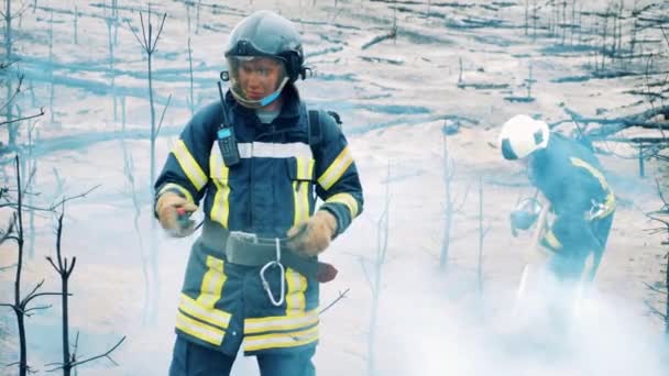 Feuerwehrleute dämpfen die ausgebrannten Bäume — Stockvideo