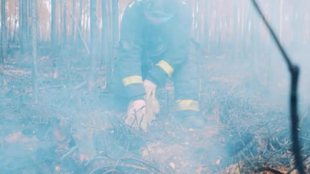 Ένας πυροσβέστης φεύγει αφού χάιδεψε ένα κουνέλι στο δάσος. — Αρχείο Βίντεο