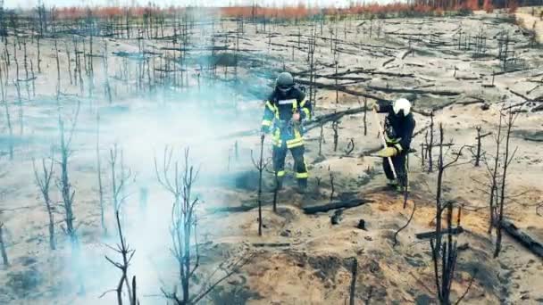 Bombeiros estão extinguindo o resto do incêndio florestal — Vídeo de Stock