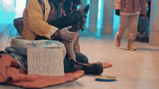 Underpass com um vagabundo e seu cão sentado no chão — Vídeo de Stock