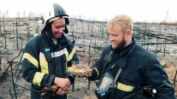 Двое пожарных с радостью смотрят на птичье гнездо после пожара. — стоковое видео