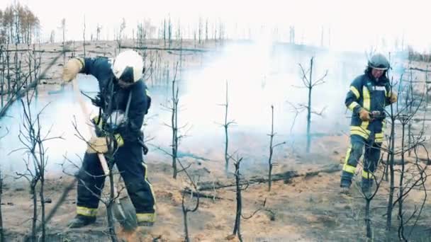 Male firefighters are extinguishing residual forest fire — Stock Video
