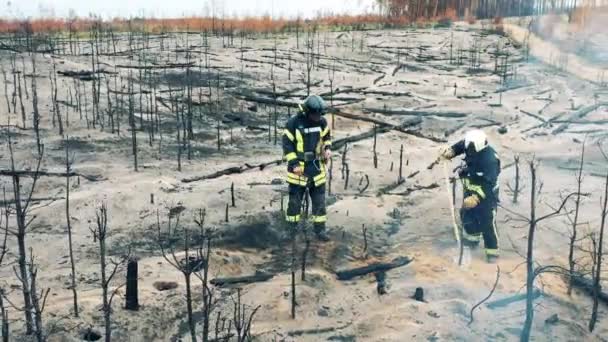 Пожарные тушат остальную часть лесного пожара. — стоковое видео