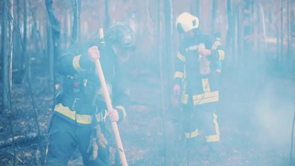 Два пожарных работают в зоне лесного пожара — стоковое видео