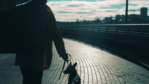 Бродяга ведет свою собаку по городской улице — стоковое видео