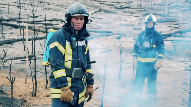 Dois bombeiros estão em pé na área de incêndio da floresta — Vídeo de Stock