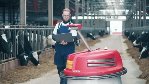 Trabajador de vacas está manejando un empujador de alimentación automatizado — Vídeo de stock
