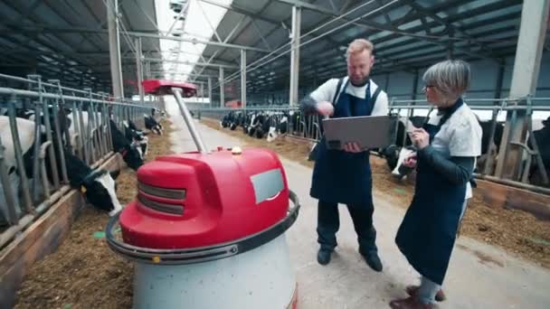 Dos trabajadores del establo están manejando un empujador de alimentación robótica — Vídeos de Stock