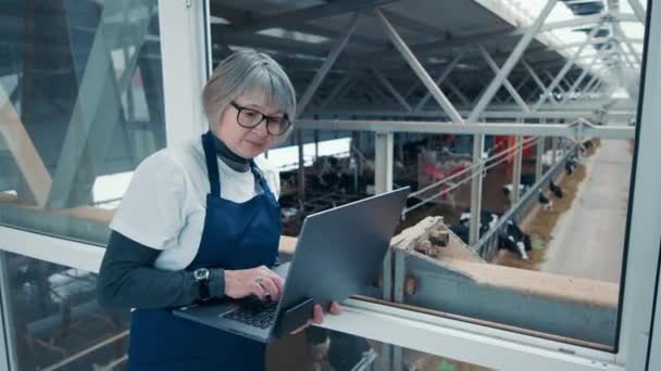 Mujer trabajador de la casa de vaca está observando y escribiendo en un ordenador portátil — Vídeo de stock