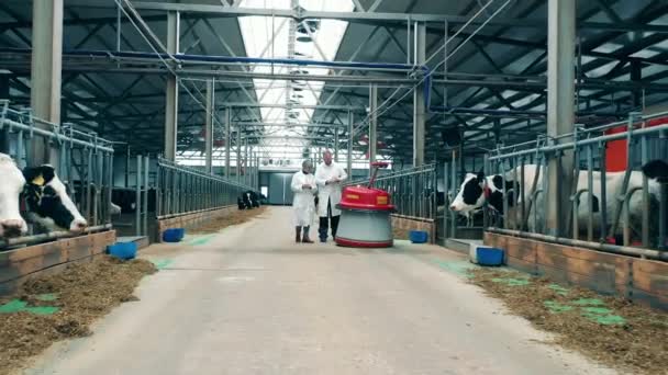 Dos trabajadores agrícolas están discutiendo un alimentador automatizado — Vídeo de stock