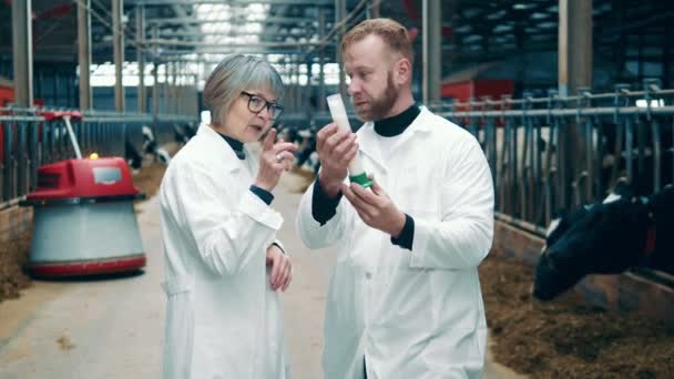 Trabalhadores do gado estão observando uma amostra de leite em um tubo — Vídeo de Stock