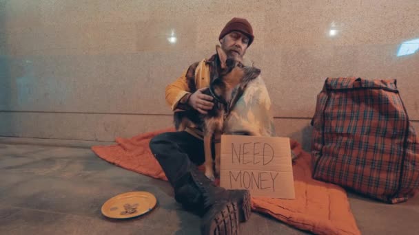 A tramp is sitting on the floor and petting a dog — 图库视频影像