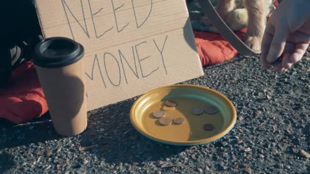 Деньги бросают в тарелку бездомного. — стоковое видео