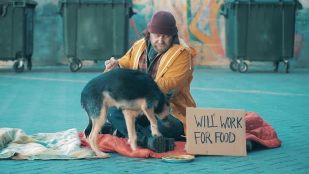 A homeless man is feeding his dog in the street — Stock Video