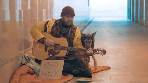 A homeless man is playing the guitar with a dog next to him — Stock Video