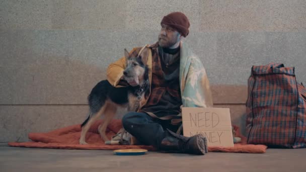 Бездомный ласкает собаку, сидя на полу. — стоковое видео