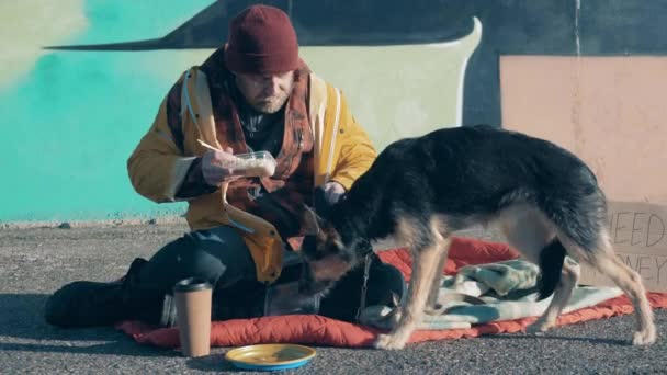 Egy hajléktalan és a kutyája az utcán esznek. — Stock videók