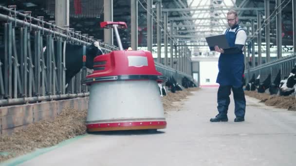 'ντρας ειδικός χειρίζεται ρομπότ στη φάρμα με τις αγελάδες. — Αρχείο Βίντεο