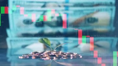 Multilayered screen with money, dynamic stock rates and a plant