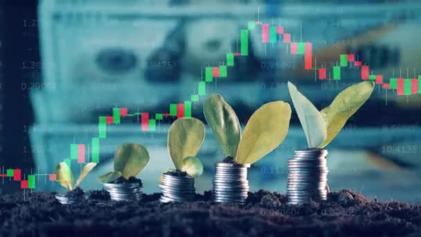 Money, dynamic stock graphs and plants on a multilayered screen — Vídeos de Stock