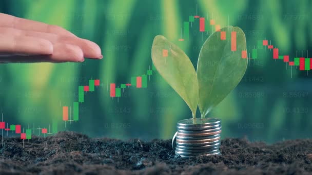 Close up of a hand watering soil with money and plants on it — Stockvideo