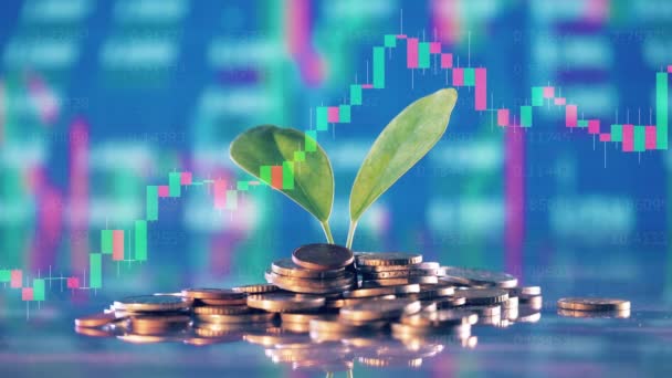 A plant, a pile of coins and dynamic stock rates on a display — Vídeo de Stock