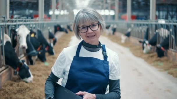 Cow farm with a female worker in uniform — Vídeo de stock