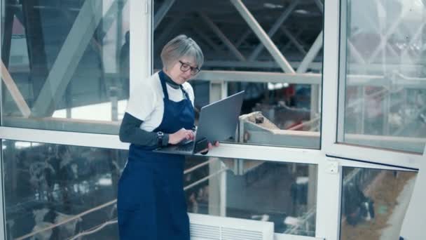 Female specialist with a laptop is looking at the cowhouse from above — Vídeo de stock