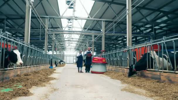 Two farm specialists are walking next to the feed pusher — Vídeo de Stock