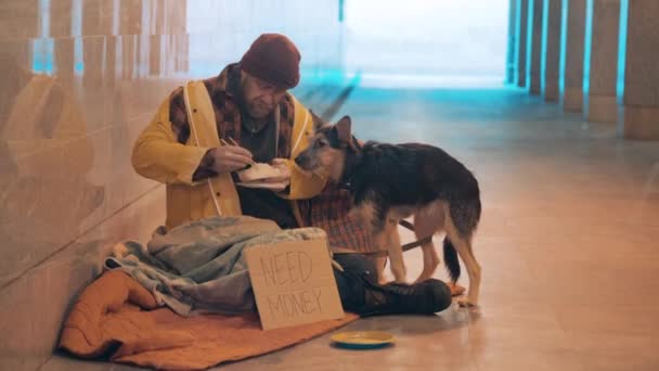 Ένας σκύλος ζητάει φαγητό από έναν ζητιάνο. — Αρχείο Βίντεο