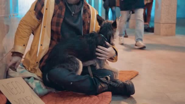 A beggar puts on a blanket while petting his dog — Stock video