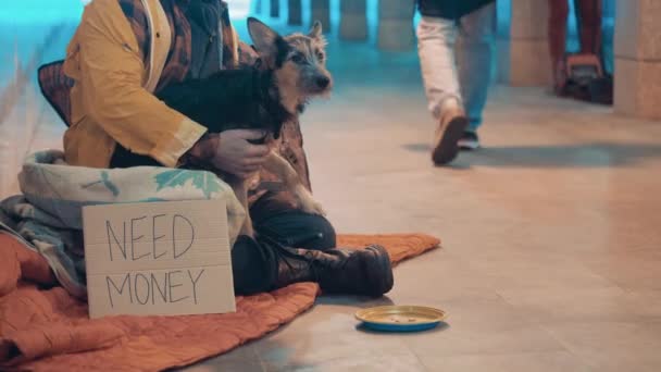 A beggar and his dog with a need money sign next to them — Vídeo de Stock