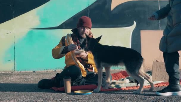 Stranger gives money to a beggar and a dog eating in the street — Vídeo de Stock