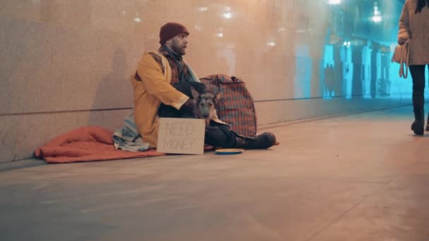 Underpass with a beggar and a dog sitting on the ground — стоковое видео