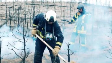 Two firemen are working in the woodland fire zone