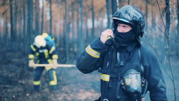 Firefighter is talking over the radio while working in the fire zone — стоковое видео