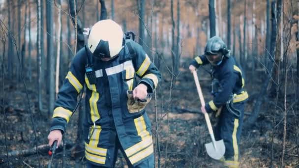 Firefighters are putting out the residual woodland fire — Vídeo de stock