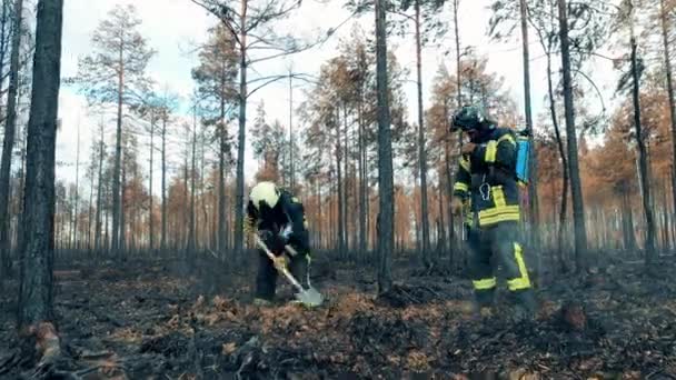 Firefighters are working with residual woodland fire — Vídeo de stock