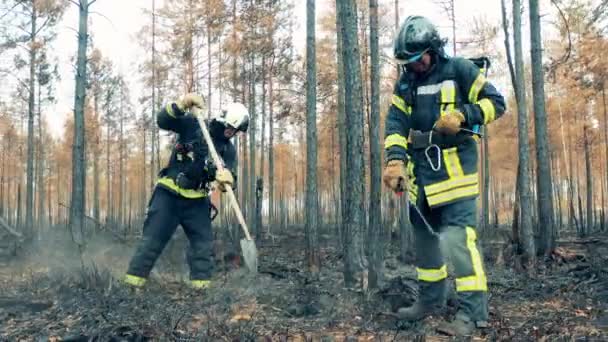 Woodland fire area with firemen damping the ground down — Stock videók