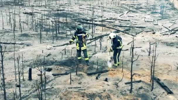 Residual woodland fire is getting damped down by firemen — Stok video